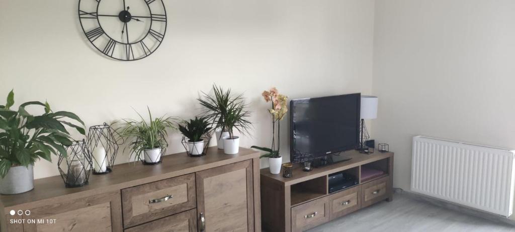 TV en un armario de madera con macetas. en Apartament w spokojnej lokalizacji en Cieplewo