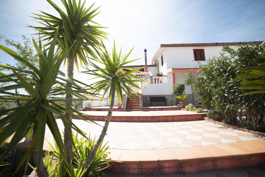 a courtyard with palm trees in front of a house at B&B Belvedere in Ischitella