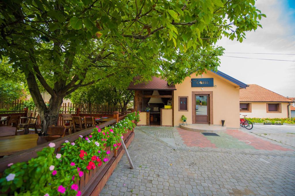 Zahrada ubytování Vila Chess