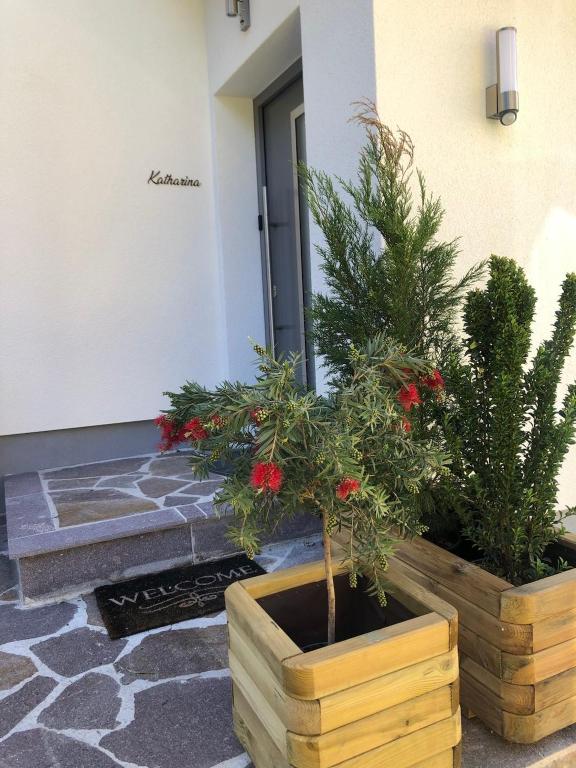 Vonkajšia záhrada v ubytovaní Ferienwohnungen Mikula-Hubacek