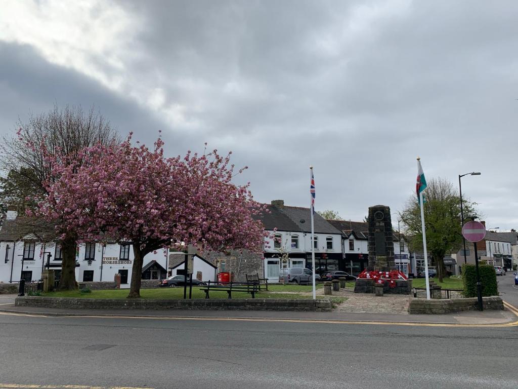 Foto de la galería de Greystones en Cardiff