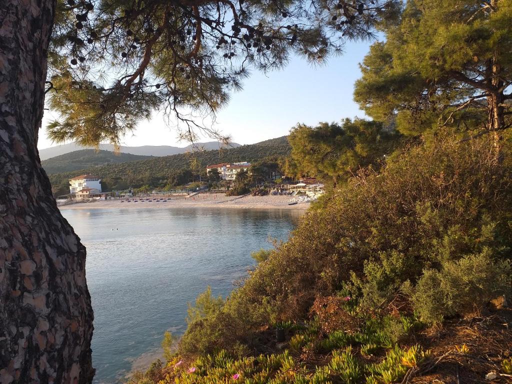 Beach Hotel Kapahi