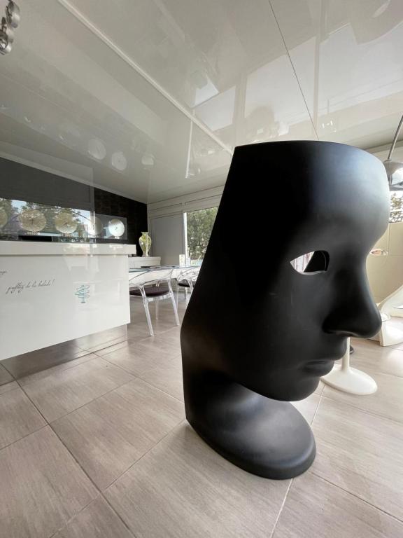 a black head sitting on the floor of a room at Hôtel L&#39;Escale Coté Port in LʼÎle-Rousse