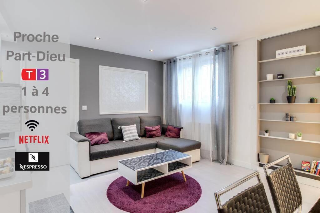 cozy 1 bedroom Flat, Appartement cosy 1 chambre - LYON 3- Villeurbanne- NETFLIX-Proche Gare