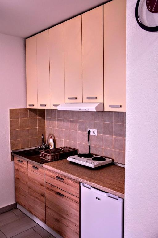 Kuchyň nebo kuchyňský kout v ubytování Apartman Ljutovac