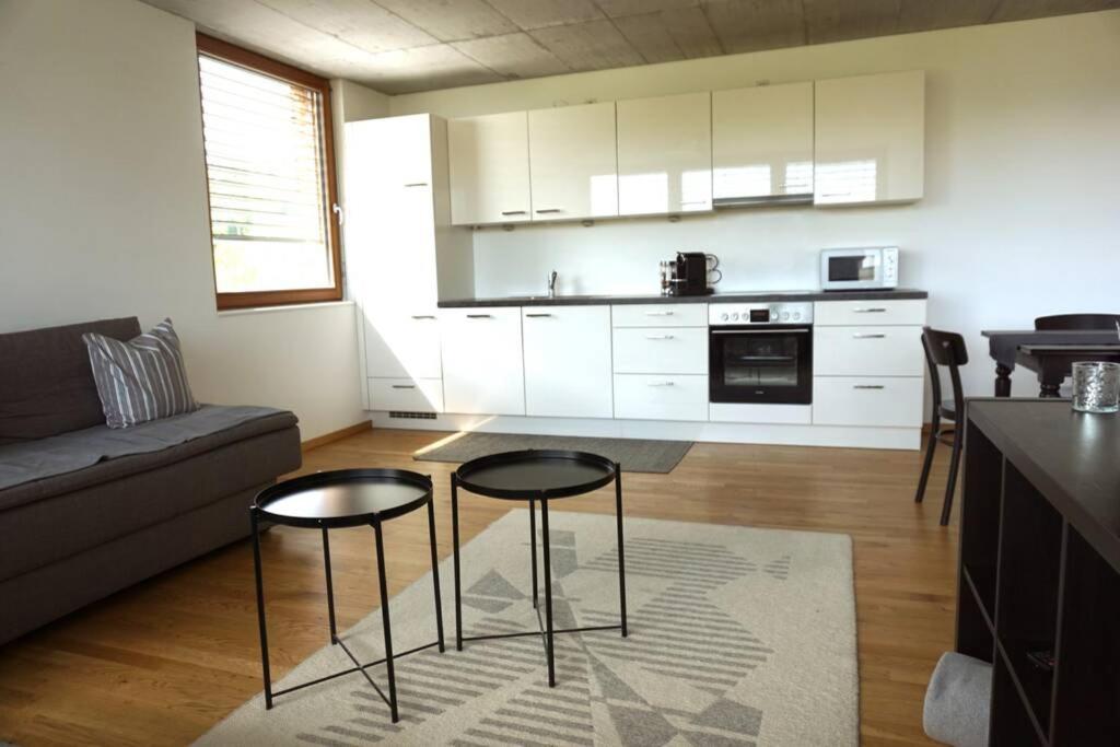 Kuchyň nebo kuchyňský kout v ubytování Terrassenwohnung in prämierter Wohnanlage