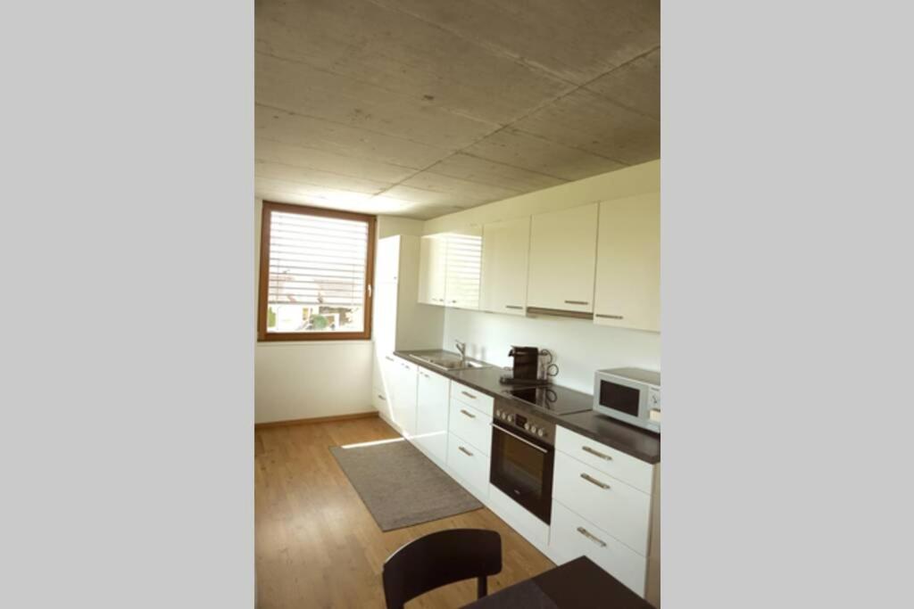 Kuchyň nebo kuchyňský kout v ubytování Terrassenwohnung in prämierter Wohnanlage
