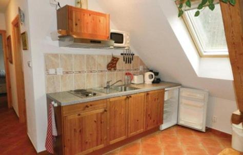 Kuchyň nebo kuchyňský kout v ubytování apartmany mlýn Strmilov