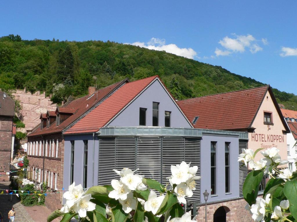 Nespecifikovaný výhled na hory nebo výhled na hory při pohledu z hotelu