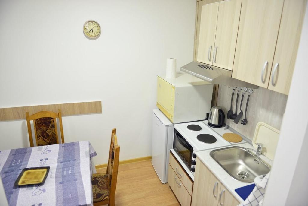 Kuchyň nebo kuchyňský kout v ubytování Apartman Martinovic