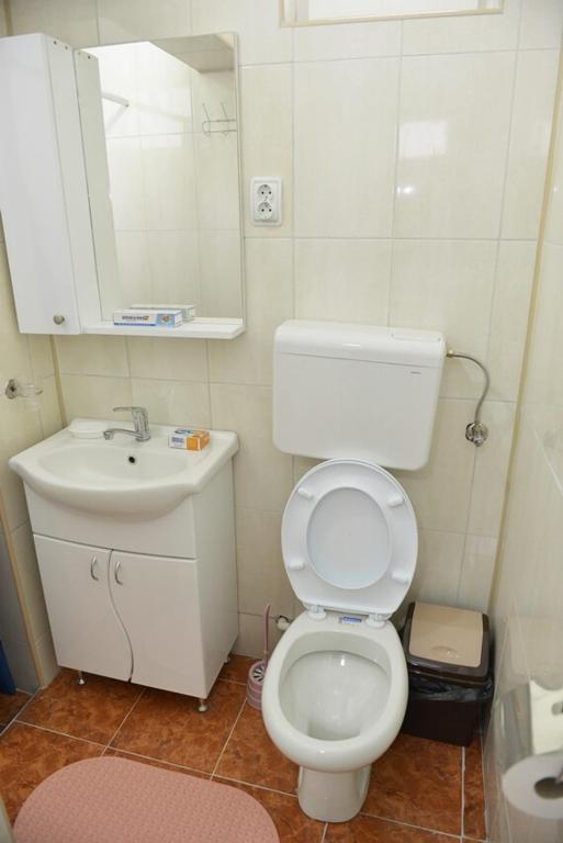 Koupelna v ubytování Apartman Martinovic