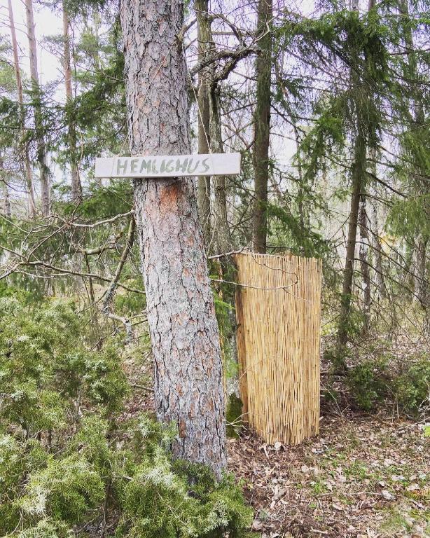 Glamping valloxen