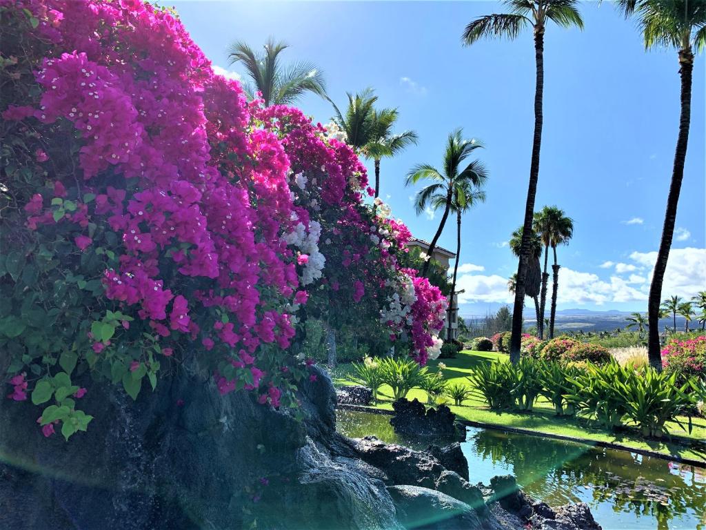 Zahrada ubytování Coconut at Shores - Waikoloa Beach Resort