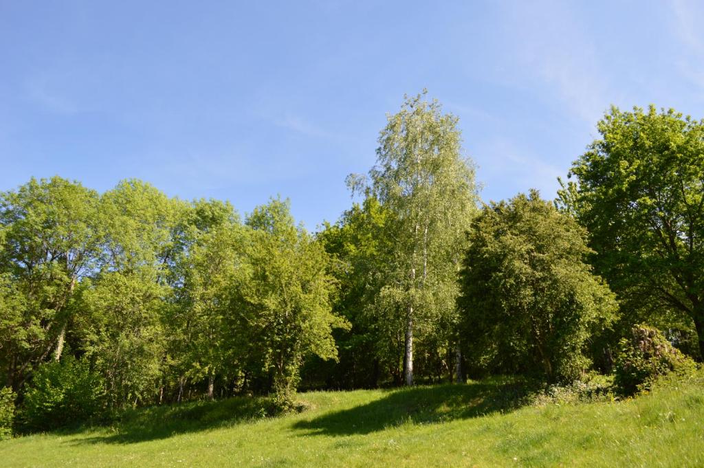 Příroda nedaleko bed and breakfast