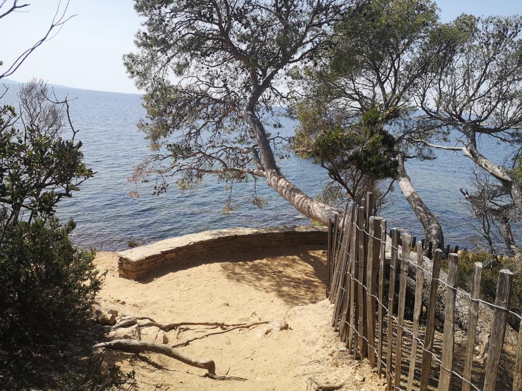 Příroda nedaleko apartmánu