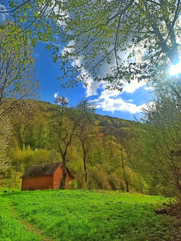 a red barn in a green field with a hill at Еко Садиба Під Полониною in Sasivka