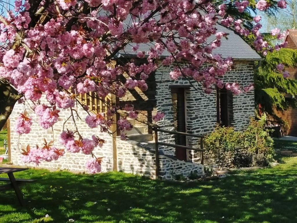 un albero con fiori rosa di fronte a una casa di Les Gites de la Valette a Ménil-Hubert-sur-Orne