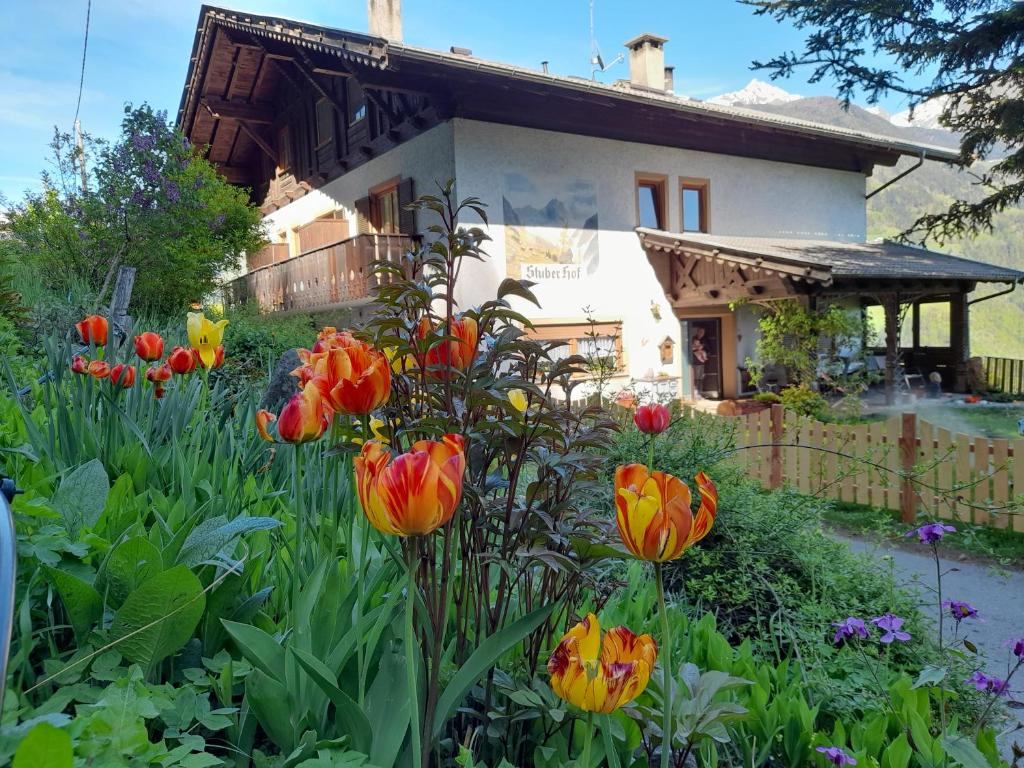 Zahrada ubytování Stuberhof