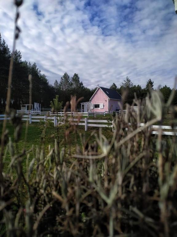 Příroda nedaleko chaty