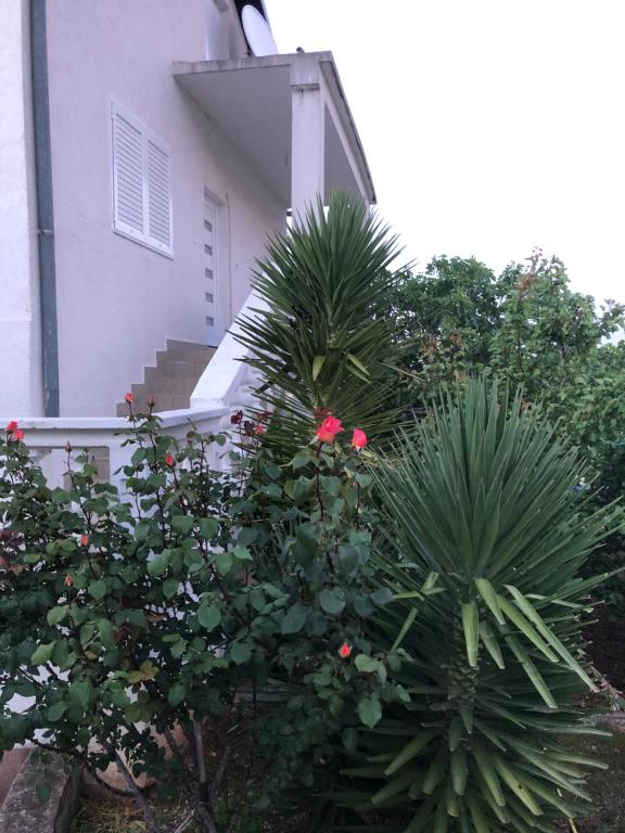 Apartment Raslina في Raslina: حوش مع زهور وردية أمام منزل
