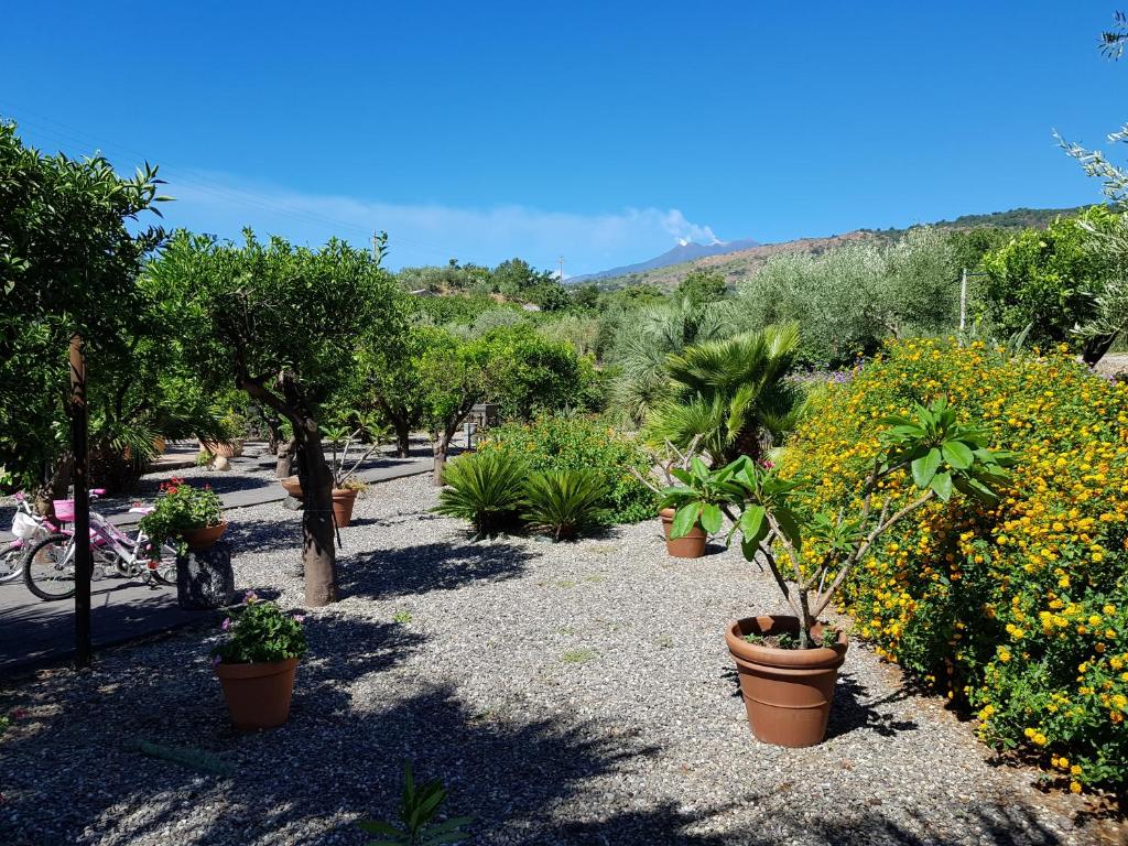 Zahrada ubytování Agriturismo Le Case Di Civi