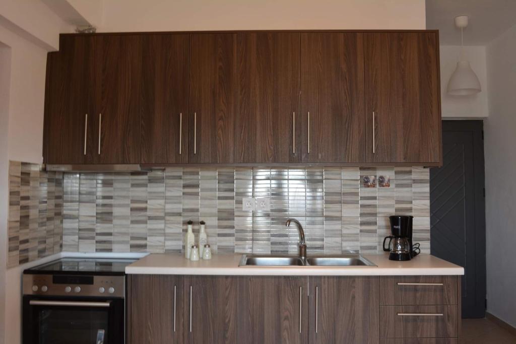 Kuchyň nebo kuchyňský kout v ubytování Anthemis Apartment