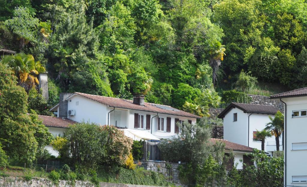 Be easy In Selva - Resim 29
