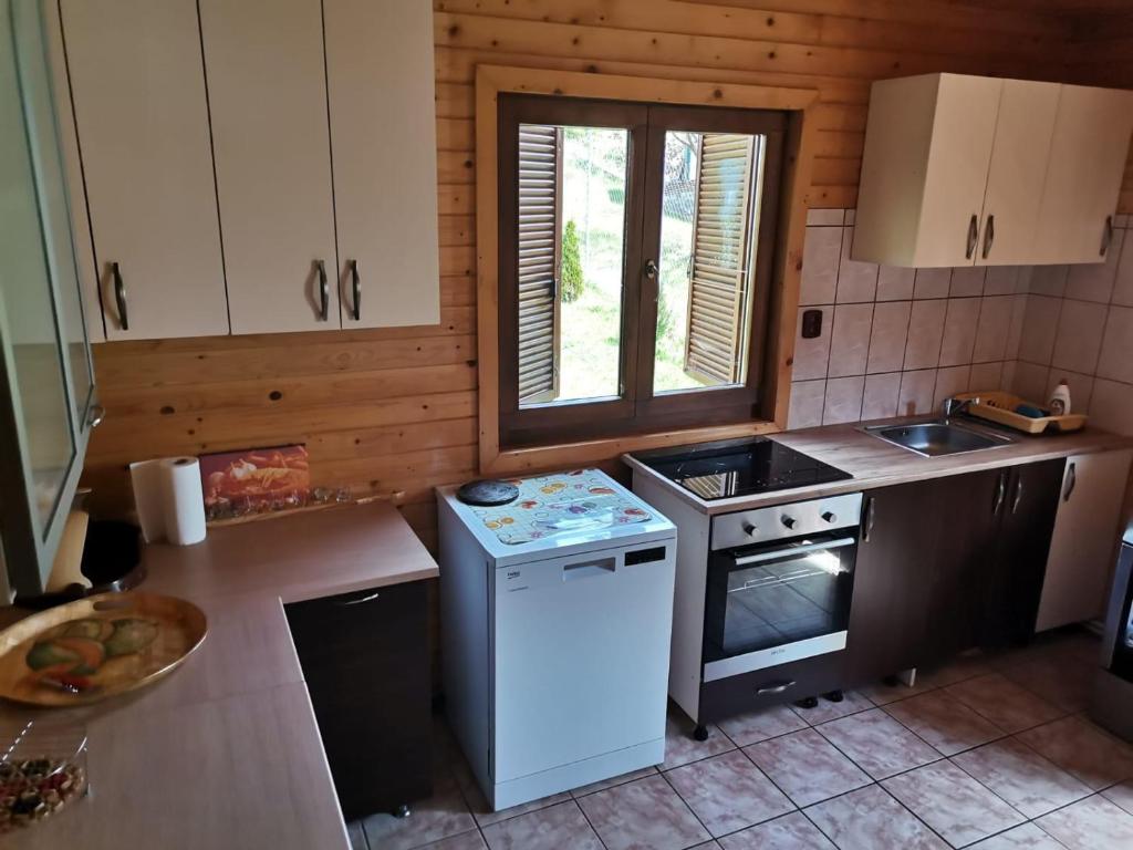 Kuchyň nebo kuchyňský kout v ubytování Casa David