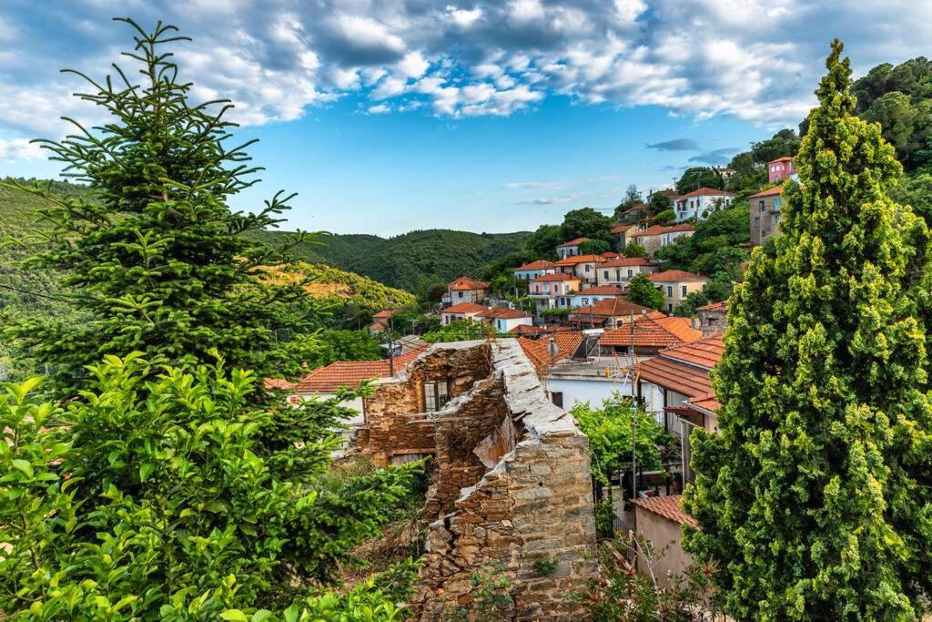 Příroda nedaleko apartmánu