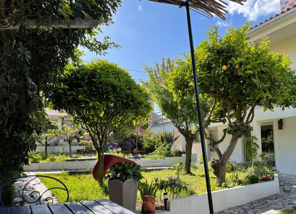 un jardín con árboles y un banco con sombrilla en Surf & Kite - Villa Nortada en Charneca