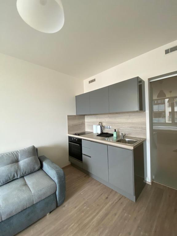 Kuchnia lub aneks kuchenny w obiekcie Apartment David O2 Arena Prague