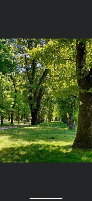 Carmen, Caldas de Reis – Precios actualizados 2022
