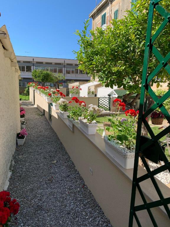 A garden outside Don Francisco Rooms - TROPEA