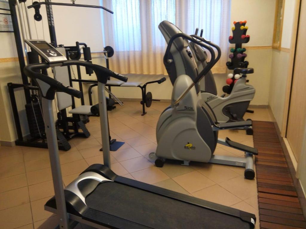 Fitness centrum a/nebo fitness zařízení v ubytování Hotel Olisamir