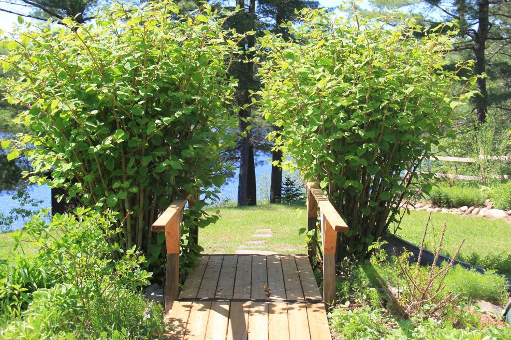 Paisaje cerca de este resort