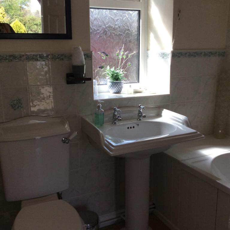 Whashton Springs Farmhouse B&B 6