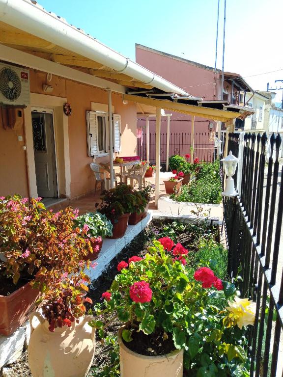 A garden outside Villa Angela, Traditional Villa in the village