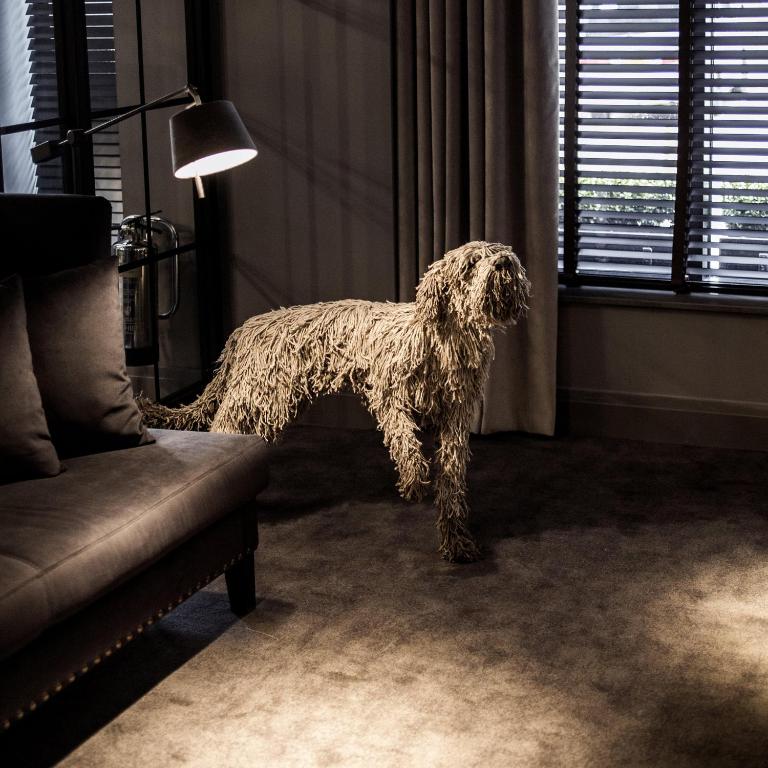 Dakota Glasgow - Resim 22