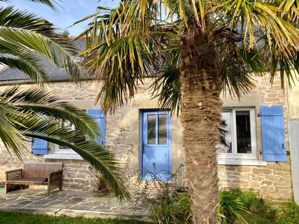 un palmier devant une maison avec une porte bleue dans l'établissement Pen TY sur les Hauteurs- Audierne- Plouhinec, à Plouhinec