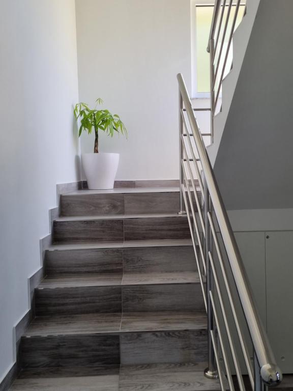 Apartmani Šalković - 10