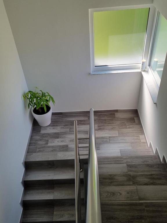 Apartmani Šalković - 6