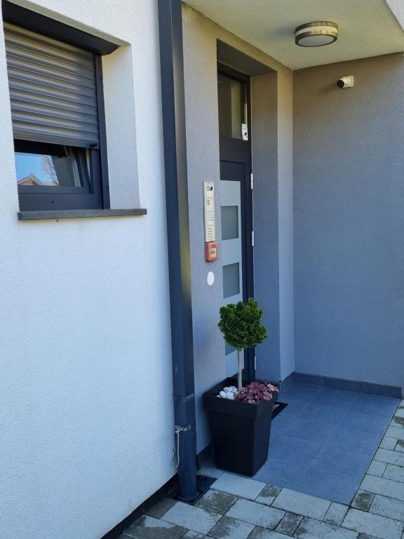 Apartmani Šalković - 4