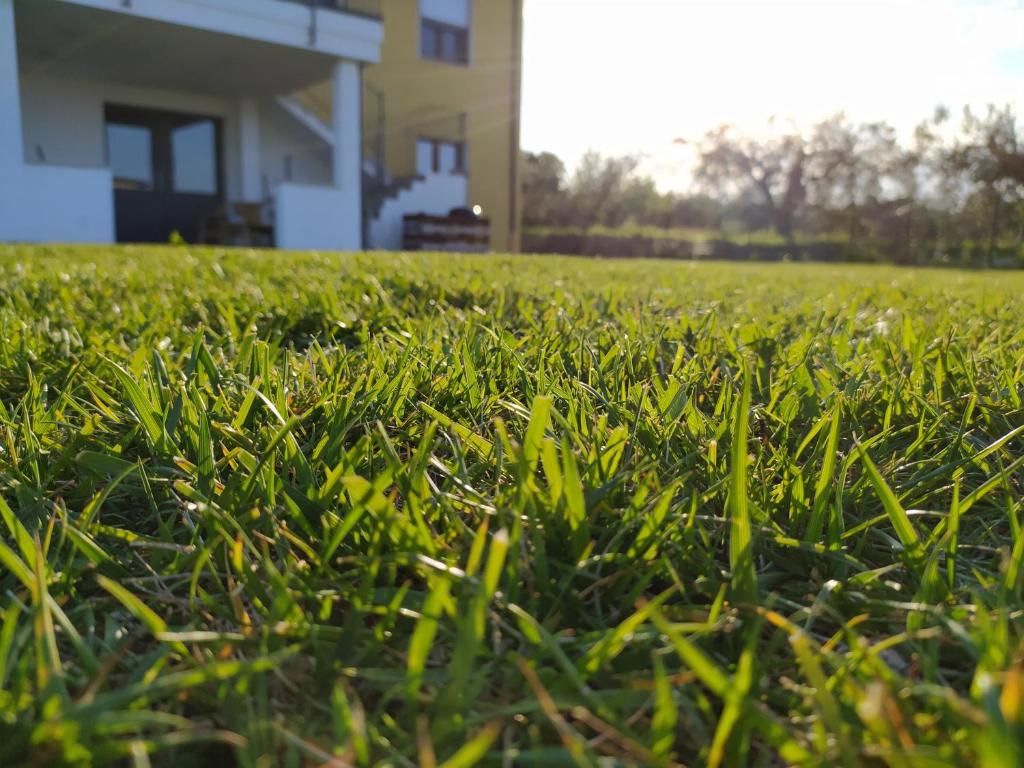 Zahrada ubytování Natura e Mente Camere e Relax