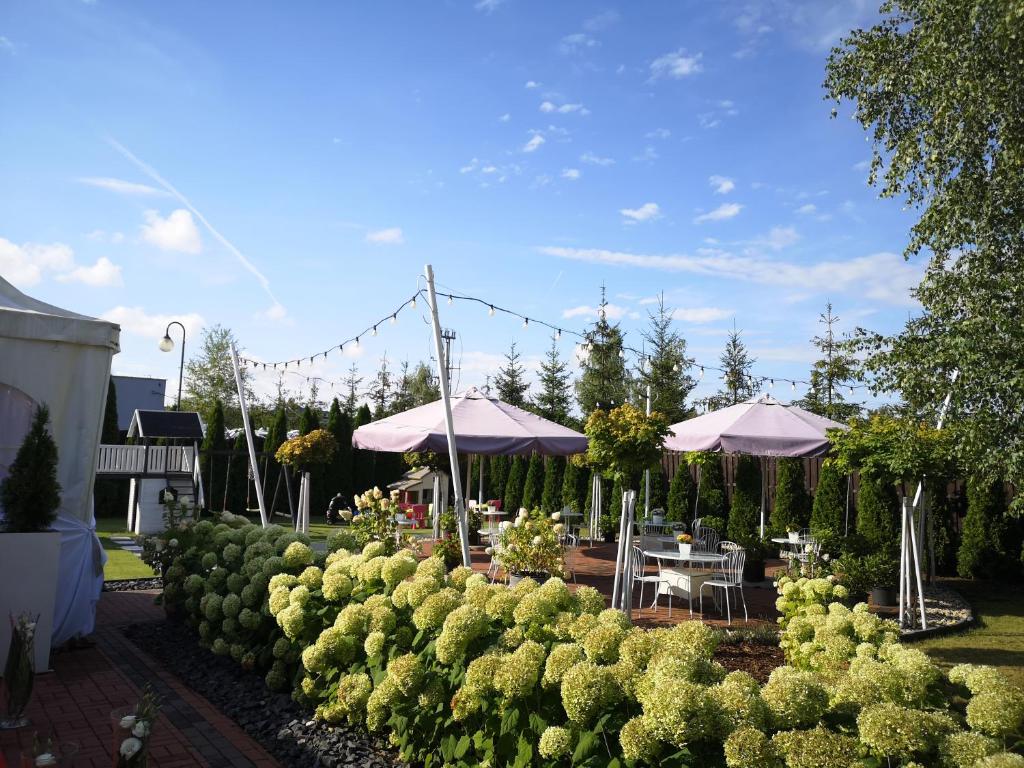 Zahrada ubytování Hotel Constancja