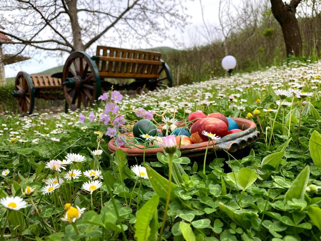 Zahrada ubytování Ozrenska bašta apartmani