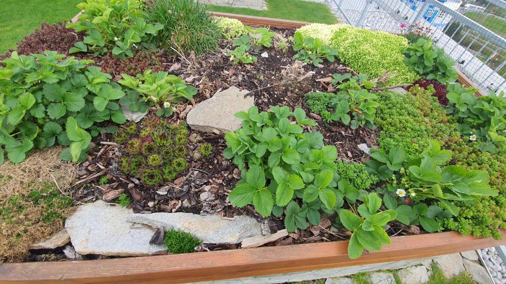 Magic Apartment centre mezonet - Resim 22