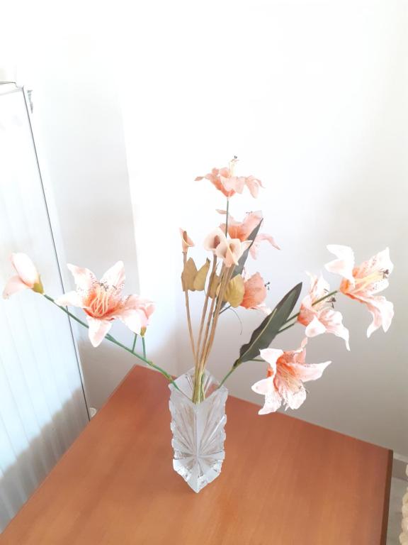 Zdjęcie z galerii obiektu Asteris appartment w mieście Termi