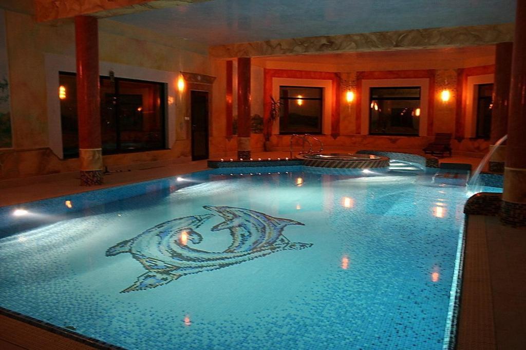 a large swimming pool with a fish painted on it at Hotel Oleńka in Szydłowiec