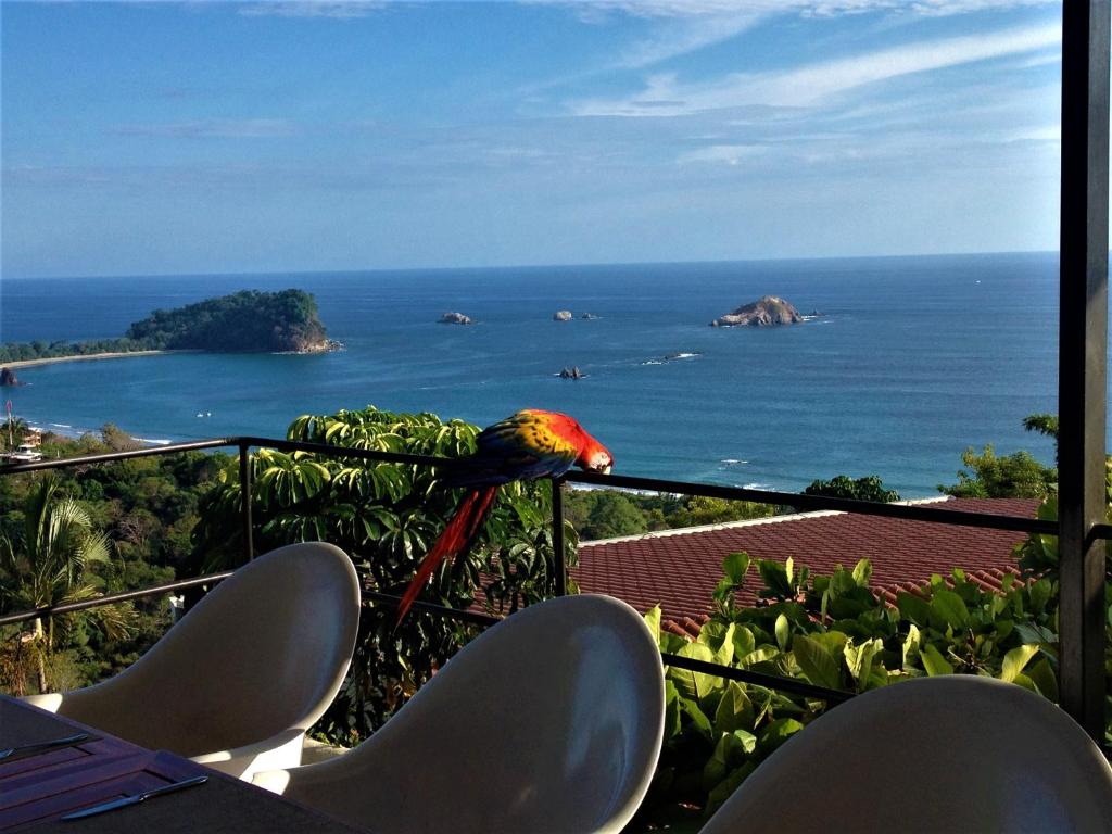 Hoteles en Manuel Antonio, Costa Rica 298428472