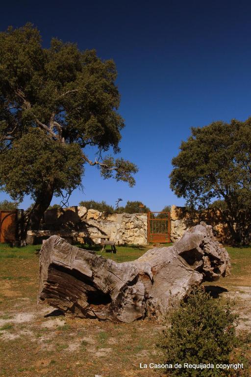 La Casona de Requijada a 6km de Pedraza con Piscina ...